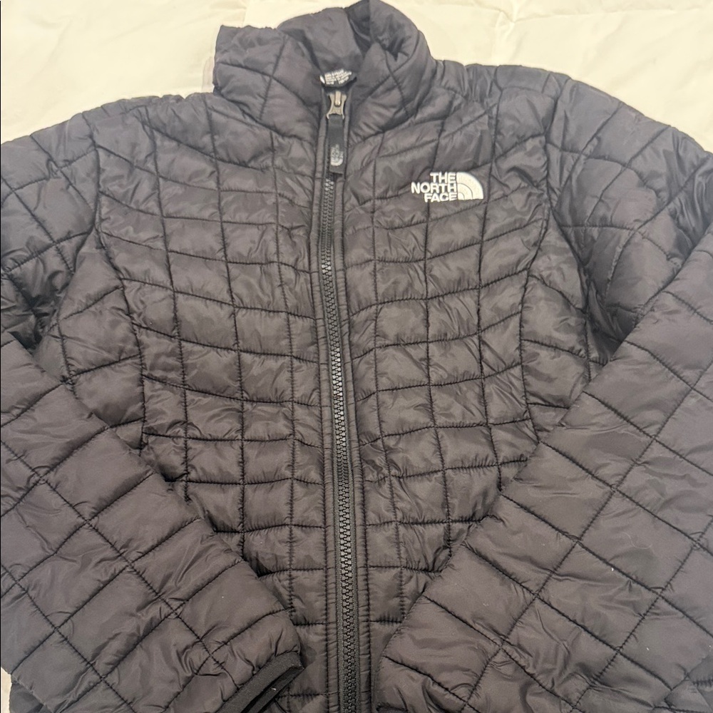 The North Face Black Puffer Jacket